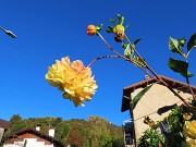 Madonna delle Cime sul Corno Zuccone da Reggetto di Vedeseta-11ott24- FOTOGALLERY